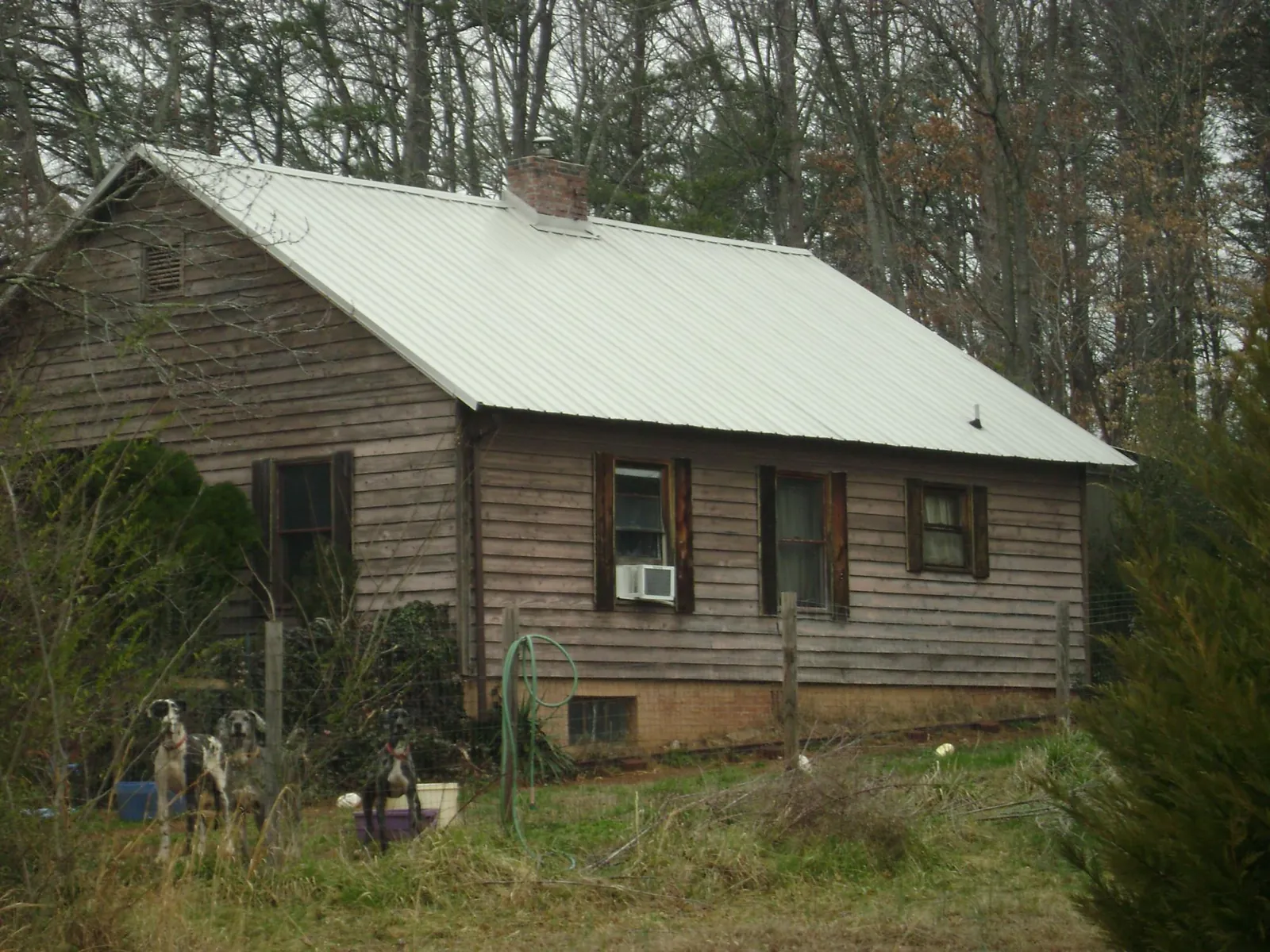 White metal roof on an old wood sided farmhouse, from a Asphalt Shingle Roof Repair job in Taylorsville